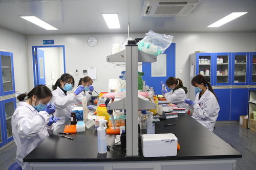 聚焦武漢解碼中部引擎 探訪光谷生物城，看生物制品技術開發如何驅動未來