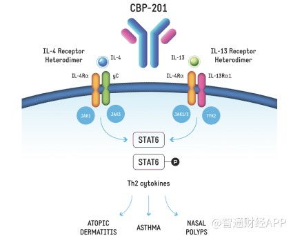 核心產品未上市即面臨競爭擴圍，康乃德生物拿什么說服華爾街